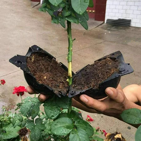 3Sizes 6pcs Plant Root Growing Box, Reusable Plant Rooting Device, High-Pressure Propagation Ball Rooter Box Grafting Botany Root Controller for Plants Asexual Reproduction 3Sizes