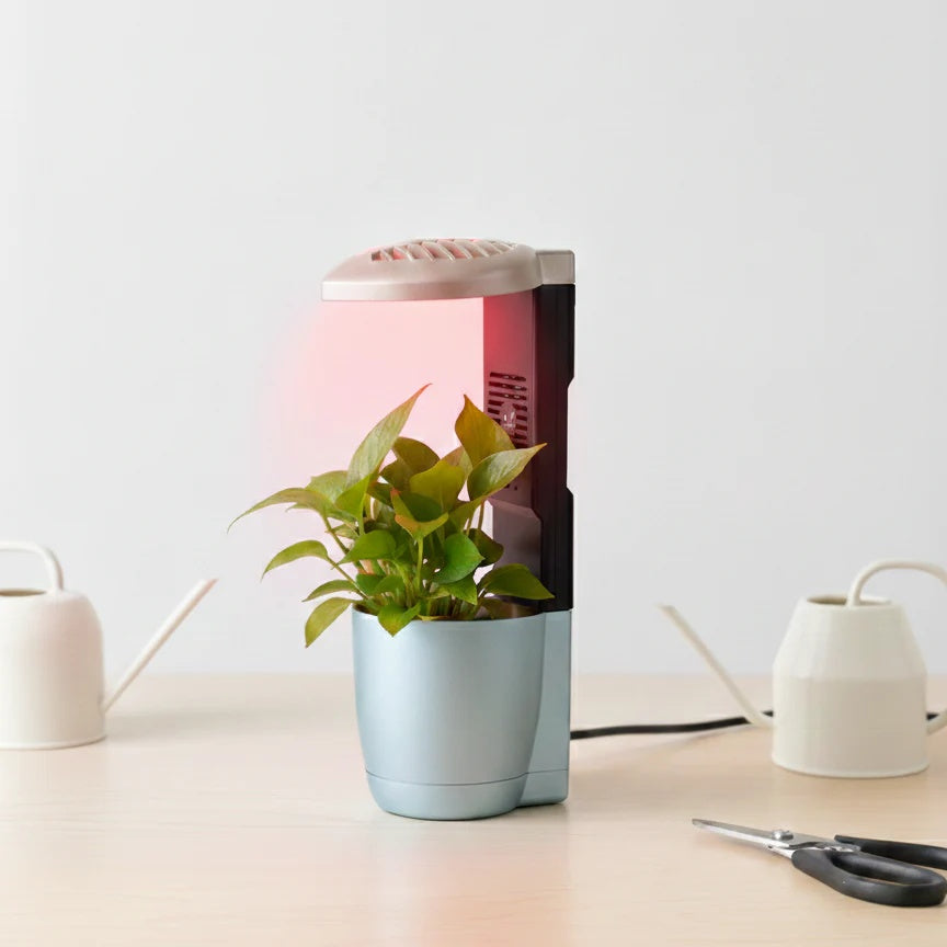 Desktop Plant Grow Lights With Port for Indoor Plants Full Spectrum, 12 LED/9 inch 5V 2 Brightness Mode With Speaker and Air freshener Best For Gifting